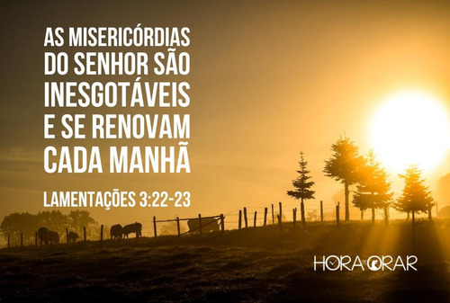 Livro Devocional Diário: As Misericórdias Do Senhor Renovam-se A Cada Manhã - Paul David Tripp - Editora Peregrino - Imagem 2