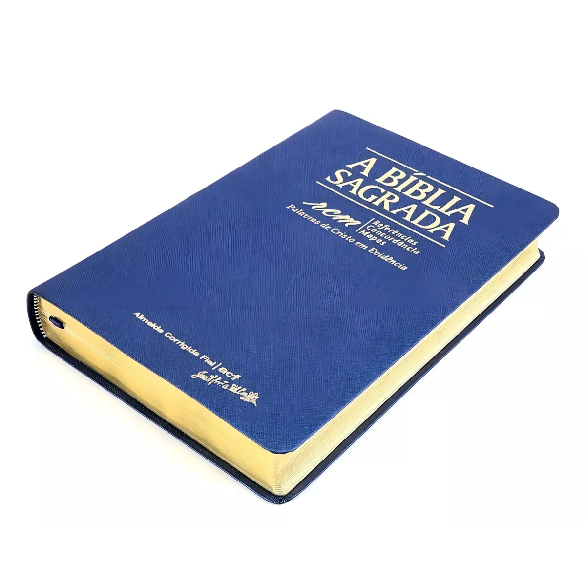BIBLIA RCM GRANDE AZUL EVIDENCIA - Imagem 2