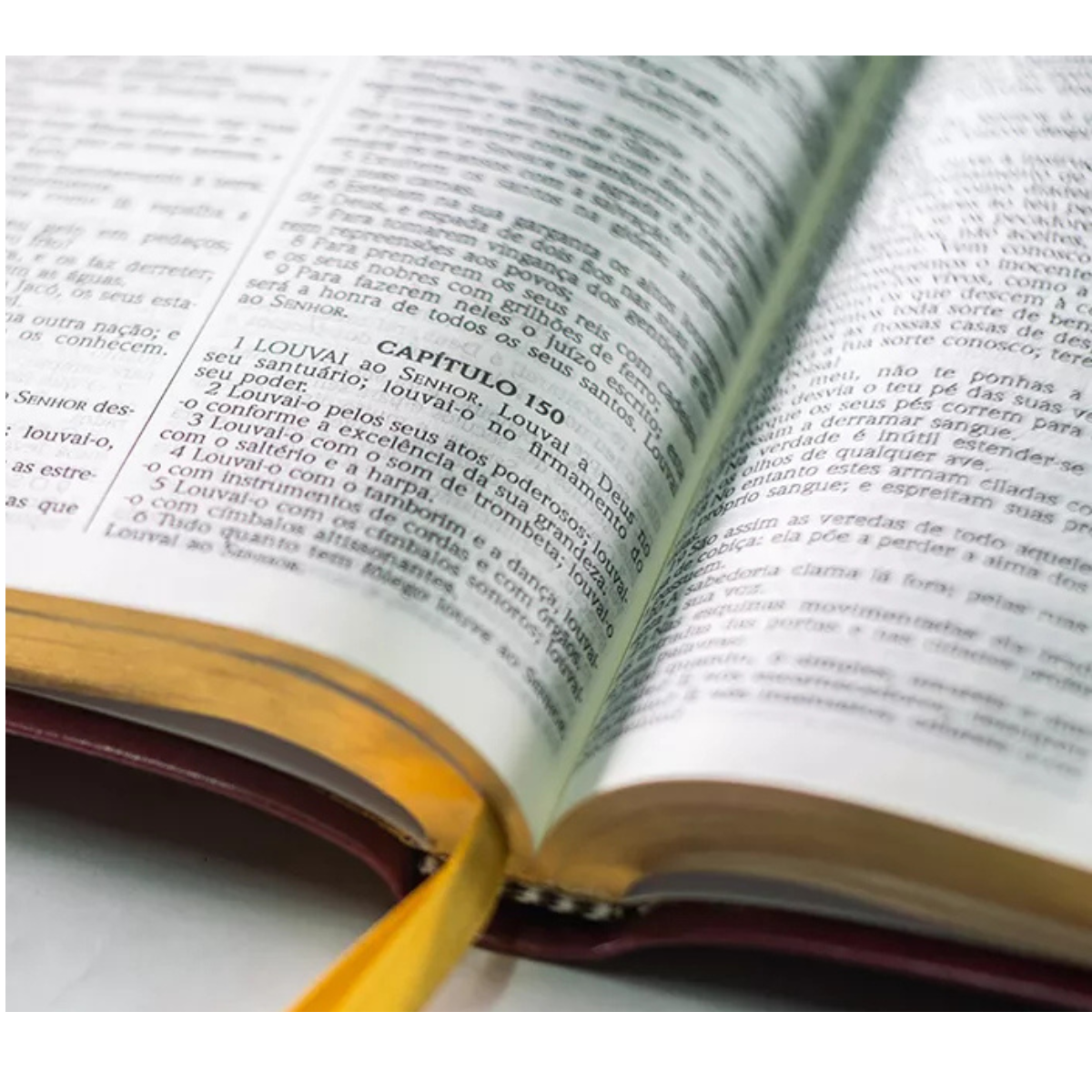 Bíblia ACF Letra Média Fina Luxo Vinho - Imagem 2