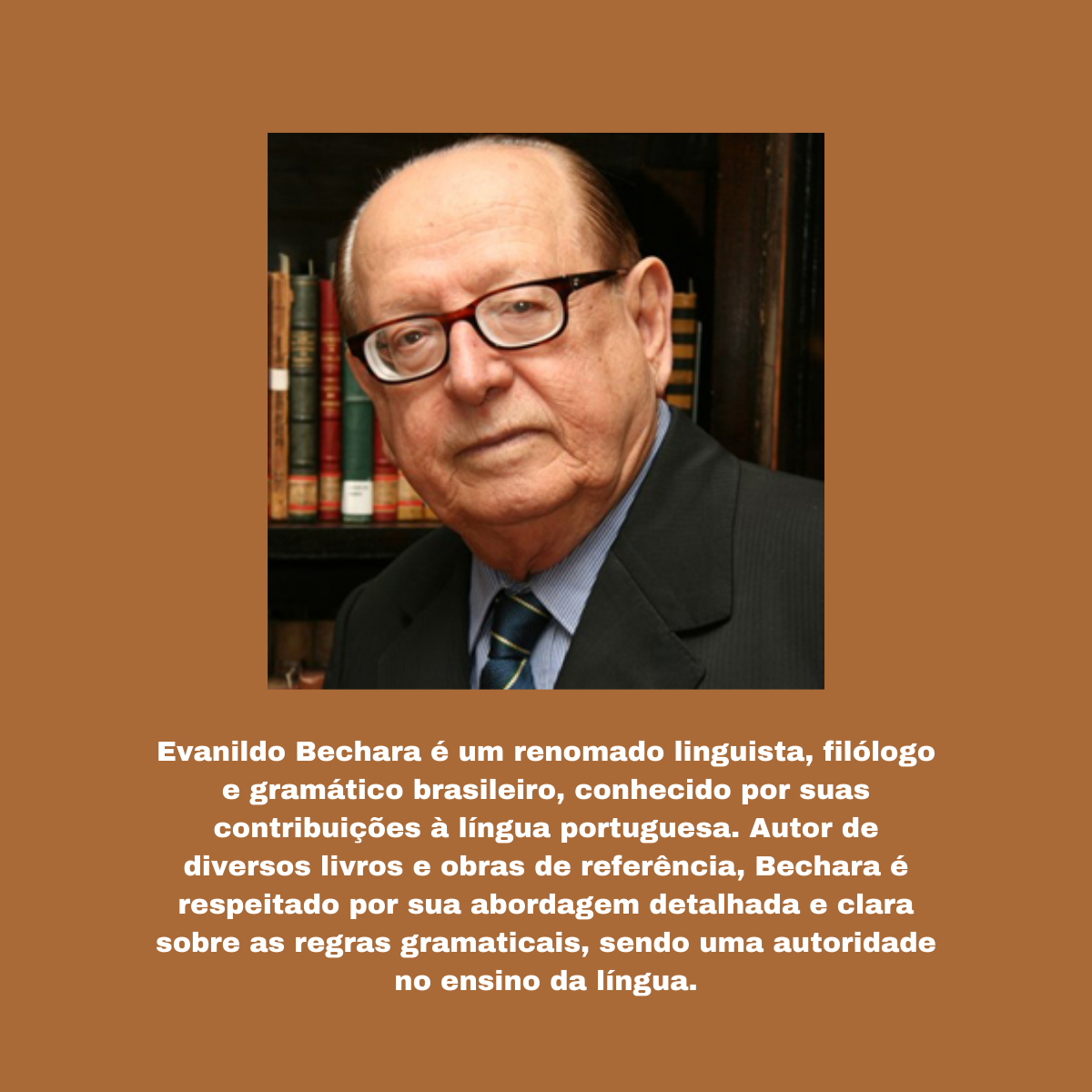 Bechara - Portugûes para provas e concursos - Imagem 3