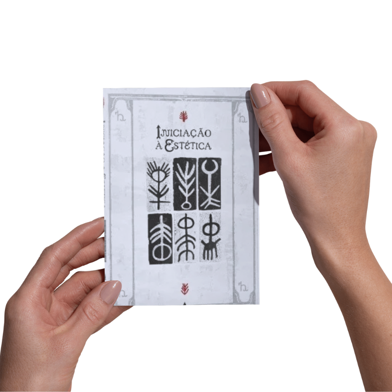 Livro Iniciação à Estética Nova Fronteira - Imagem 2
