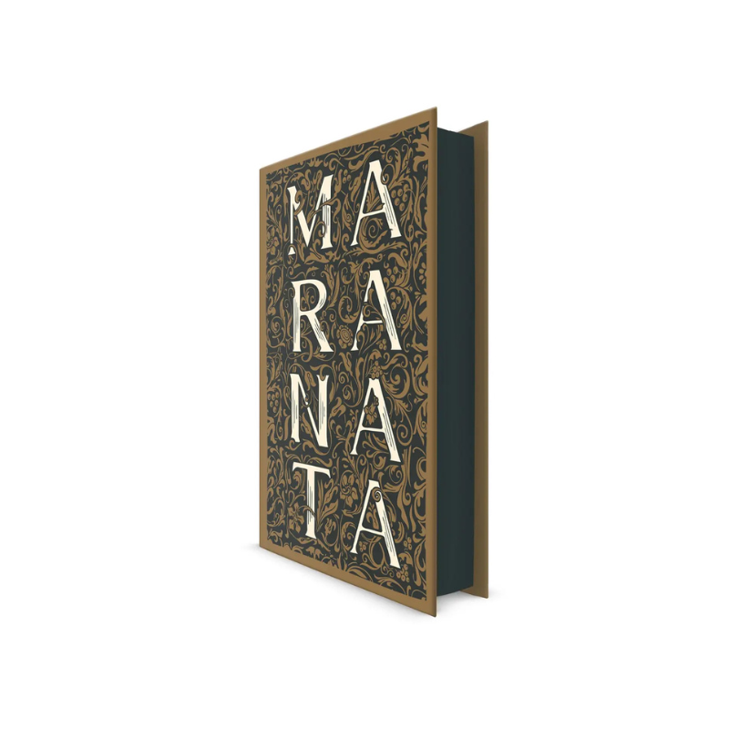 Bíblia ARC Maranata com Harpa Letra Gigante - Imagem 3