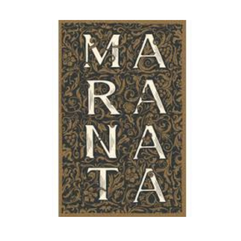 Bíblia ARC Maranata com Harpa Letra Gigante - Imagem 4