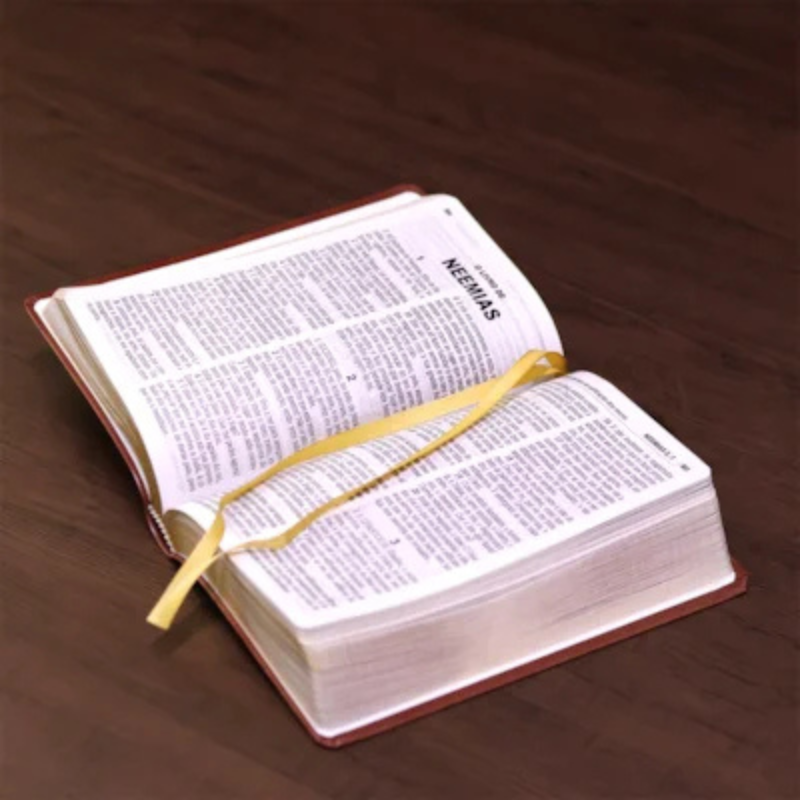 Bíblia ACF Letra Gigante Luxo Caramelo - Imagem 5