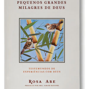 LIVRO - PEQUENOS GRANDES MILAGRES - EDITORA QUATRO VENTOS