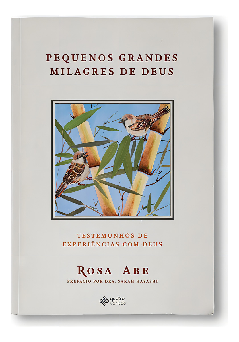 LIVRO - PEQUENOS GRANDES MILAGRES - EDITORA QUATRO VENTOS
