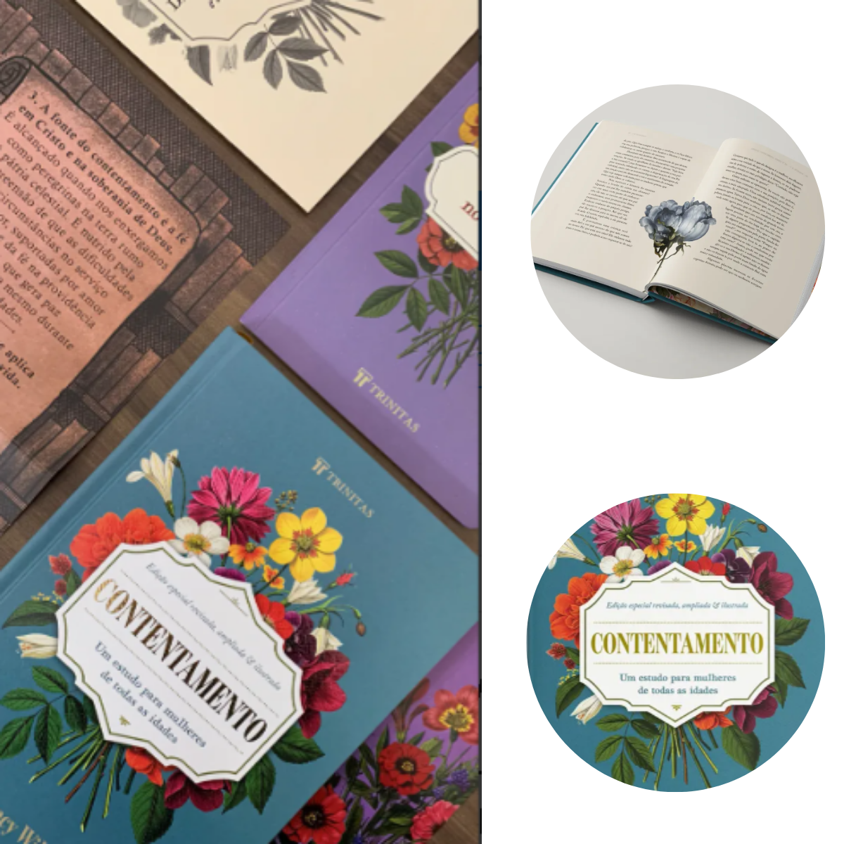 LIVRO CONTENTAMENTO NANCY WILSON ED. LUXO EDITORA TRINITAS - Imagem 2